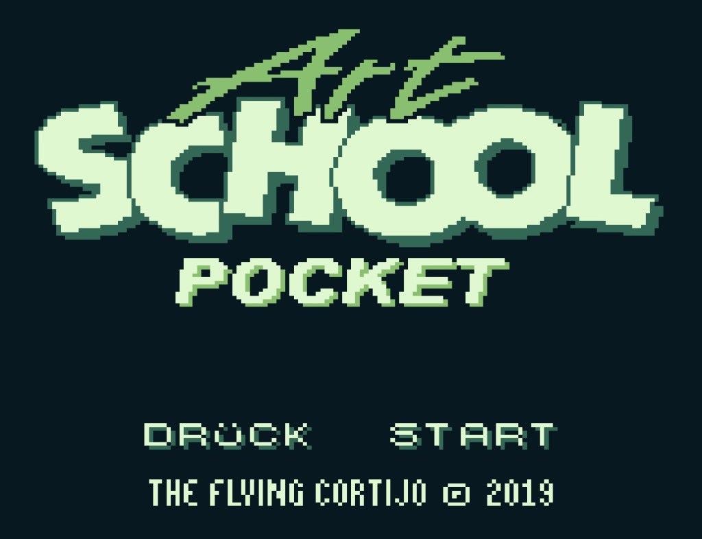 Art School Pocket | The flying&nbsp;Cortijo